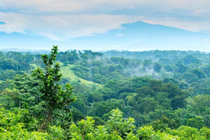 Climate action with impact: CREMER offsets business travel emissions